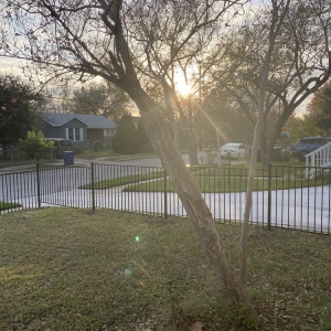 Photo of South Texas Fence