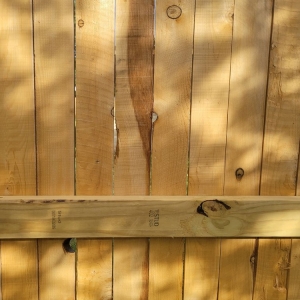 Photo of South Texas Fence