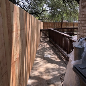 Photo of South Texas Fence