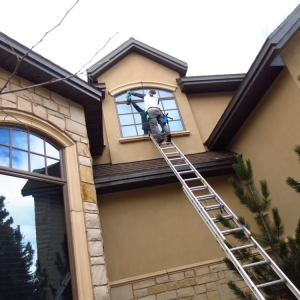 Photo of Nelson's Window Cleaning