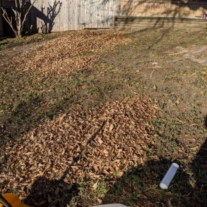 Photo of Terrances Lawncare