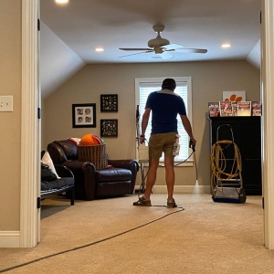 Photo of Whitehall Carpet Cleaners