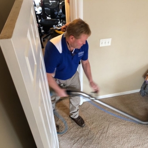 Photo of Whitehall Carpet Cleaners