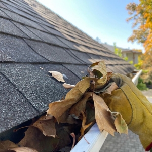 Photo of Gutter Guards Direct