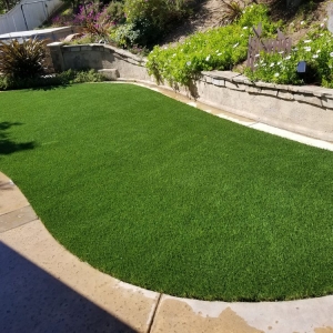 Photo of Ecograss