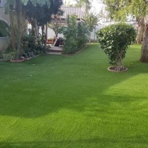 Photo of Ecograss