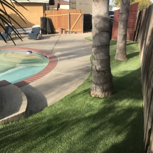 Photo of Ecograss