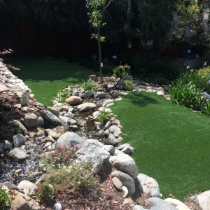 Photo of Ecograss