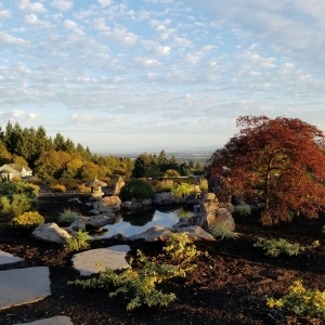 Portland Matt Sander Landscape Services