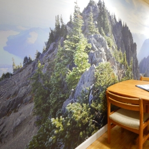 Photo of The Art of Custom Framing