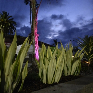 Escondido New Again Pavers