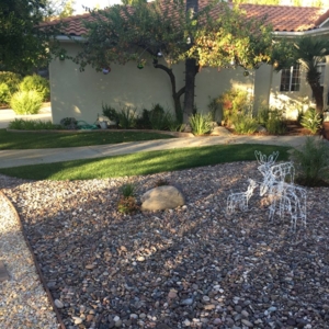 Photo of Sunshine Lawn and Garden Services