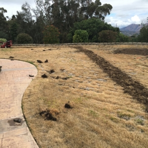 Photo of Sunshine Lawn and Garden Services