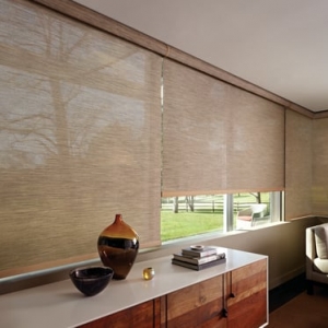 Lake Oswego DieHard Blinds