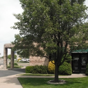 Photo of Washington Federal