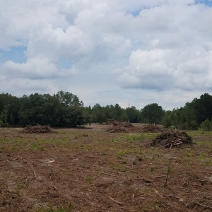 Photo of R L Site Works