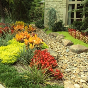 Photo of Turf Team Landscape Design