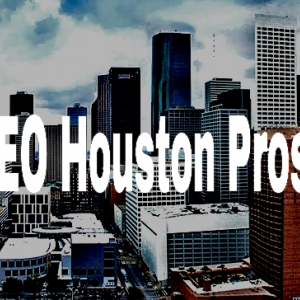 Photo of SEO Houston Pros