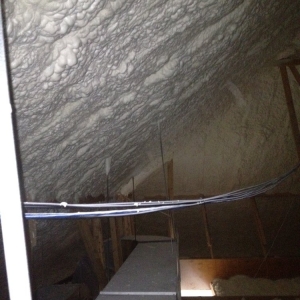 Photo of Red Oak Insulation