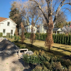 Photo of Romero Landscaping