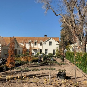 Photo of Romero Landscaping
