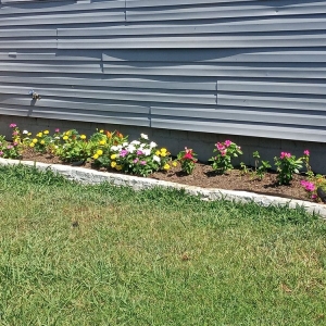 Photo of Green Life Cleaning Solutions