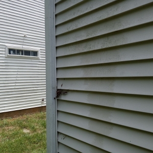 Photo of Green Life Cleaning Solutions