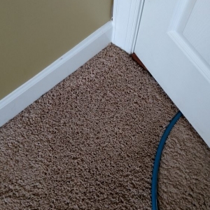 Photo of Bailie's Carpet, Rug, and Tile