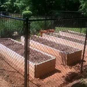 Photo of Master Fences