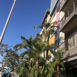 Los Angeles Kong Janitorial