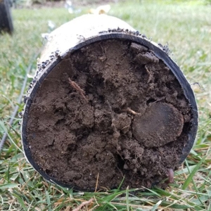 Photo of Advanced Sprinkler and Drainage Repair