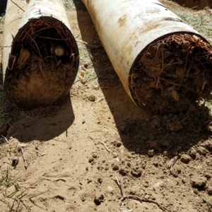 Photo of Advanced Sprinkler and Drainage Repair