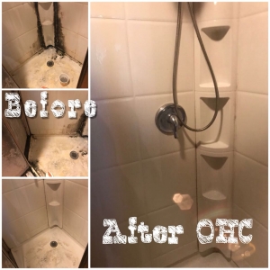 Photo of Orchid House Cleaning