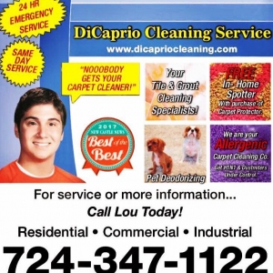 Photo of DiCaprio Carpet Cleaning