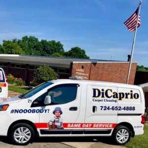 Photo of DiCaprio Carpet Cleaning
