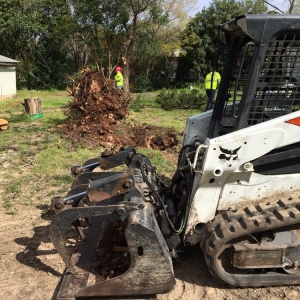 Photo of Catheys Lawn Care