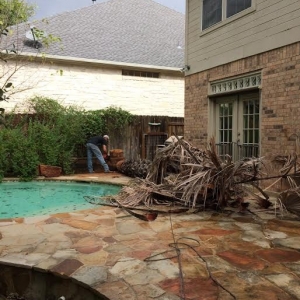 Photo of Catheys Lawn Care