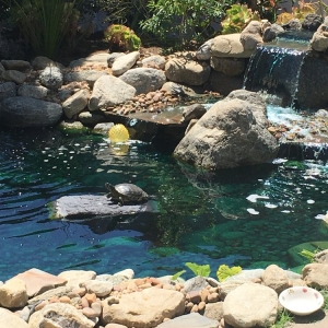 Photo of Enviroscape LA