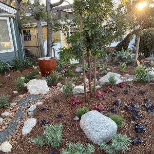 Photo of Enviroscape LA