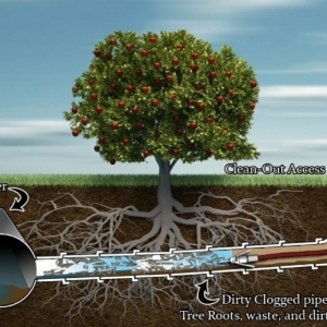 Photo of Zoom Drain