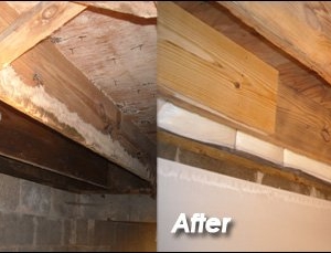 Photo of Emergency Restoration Services