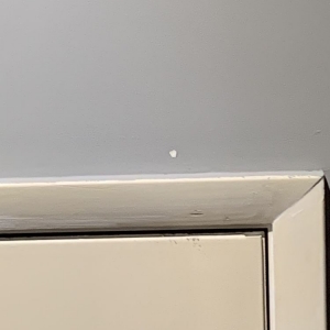 Photo of Carolina Painting and Pressure Cleaning