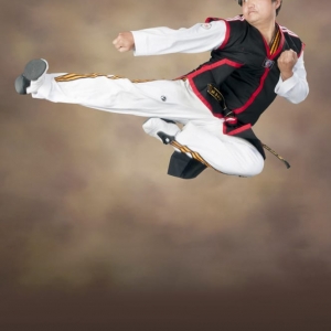 Photo of Lee's Champion Taekwondo Academy
