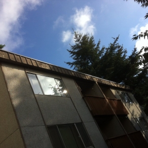 Photo of MS Painting Services