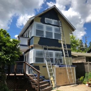 Photo of MS Painting Services