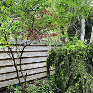 Photo of America's Backyard Fencing & Decking