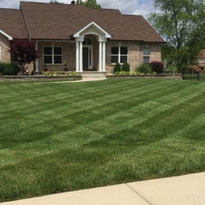 Pacific C & C Lawn & Landscaping
