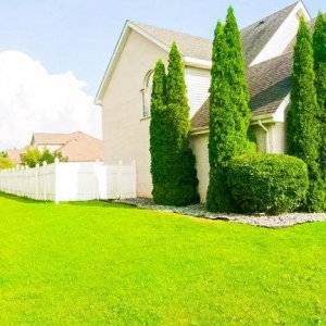 Photo of Landscap NOW