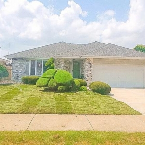 Photo of Landscap NOW