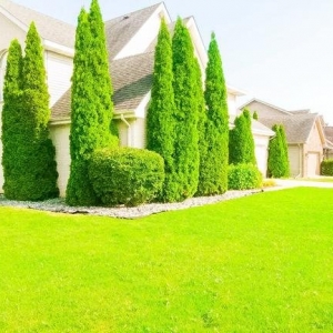 Photo of Landscap NOW